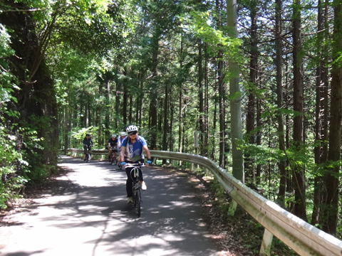 惣岳不動尊からしだくら橋へ