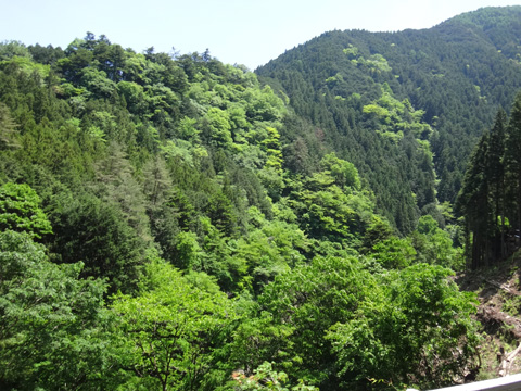 牛頭観音付近から見た山々