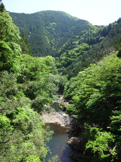 道所橋から見た多摩川