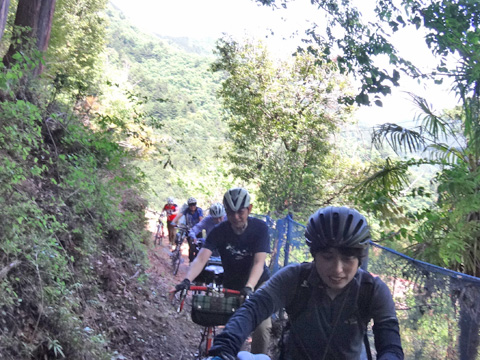 むかしみちの佳境へ