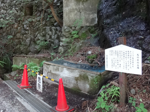 馬の水飲み場