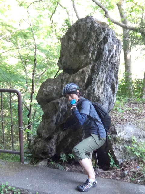 弁慶の腕ぬき岩