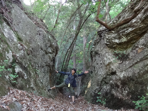 数馬の切り通し