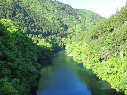 数馬峡橋から白丸湖を望む