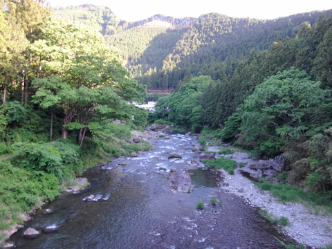 神路橋から見た多摩川