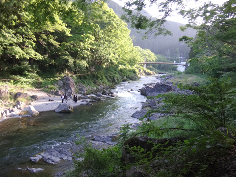 遊歩道から見た多摩川