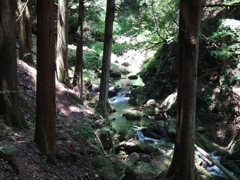 雨乞いの滝から流れる惣角沢