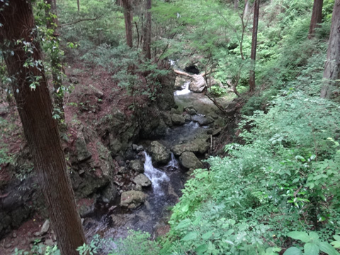 忠助淵の上流