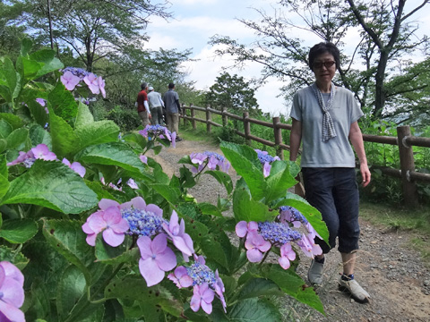 サリーナとガクアジサイ