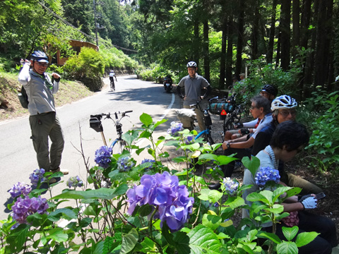 麦原川弁財天付近
