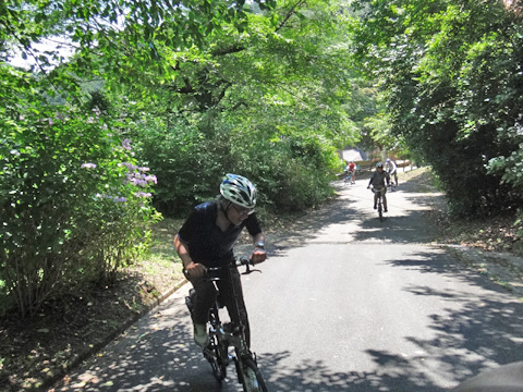 激坂の続あじさい街道