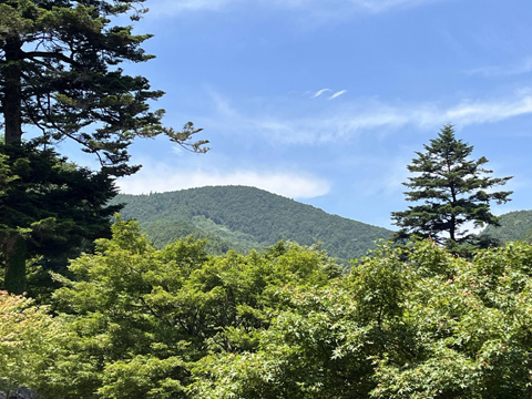 あじさい山公園から北の山を望む