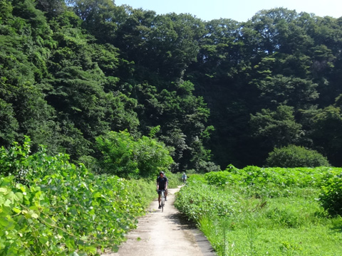 串川沿いの小径を行く