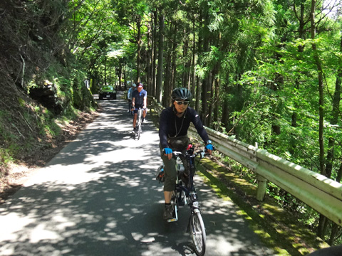 木陰の中を進む面々