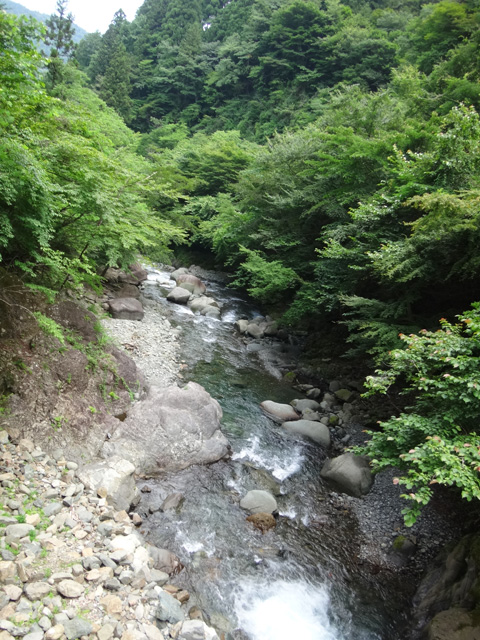 塩水橋から本谷川の下流を望む