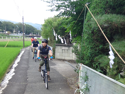 お祭りのしめ縄