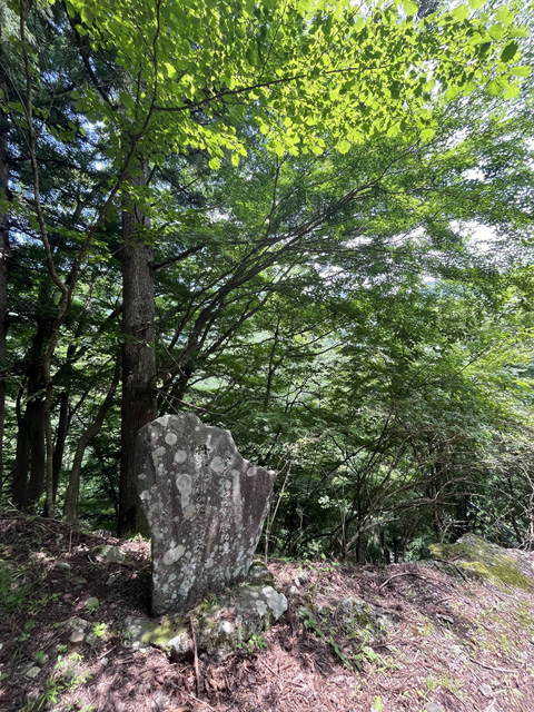 『かながわの景勝50選　丹沢札掛のモミの原生林』碑
