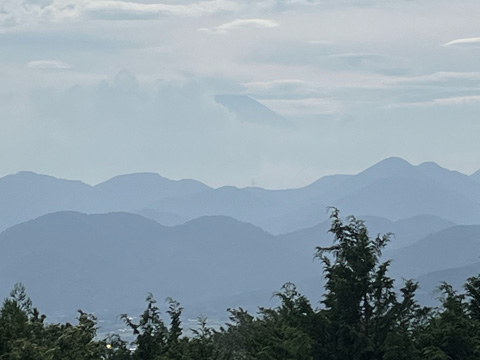菜の花台より富士山を望む