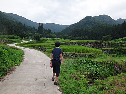 棚田散策開始