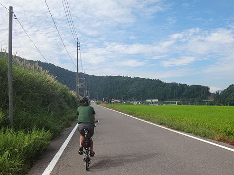 田んぼを進むサイダー