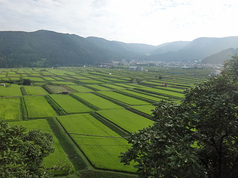 田んぼと野沢温泉