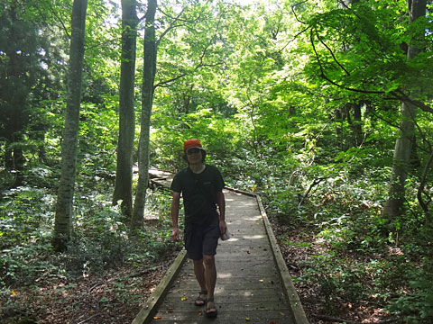 木道を行くサイダー