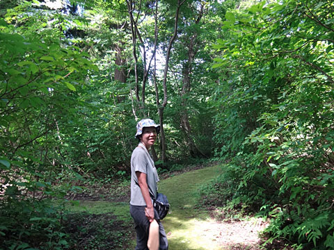 ブナの里山こみちの入口