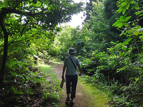 木陰の小道を行く