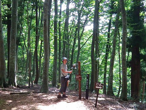 鐘を鳴らすサリーナ