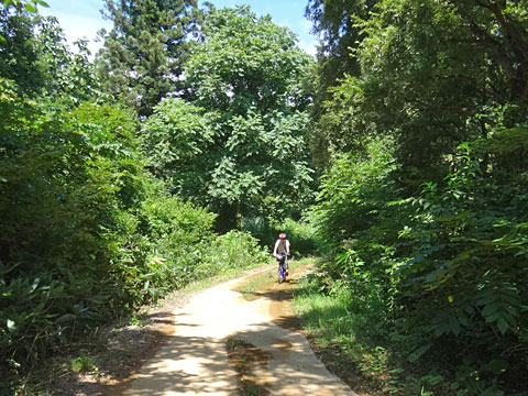 土に埋もれた道を行く