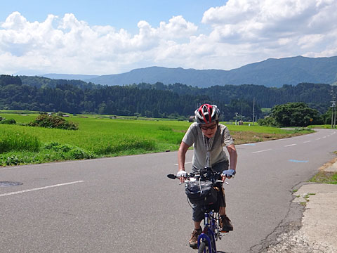 ヨレヨレのサリーナ