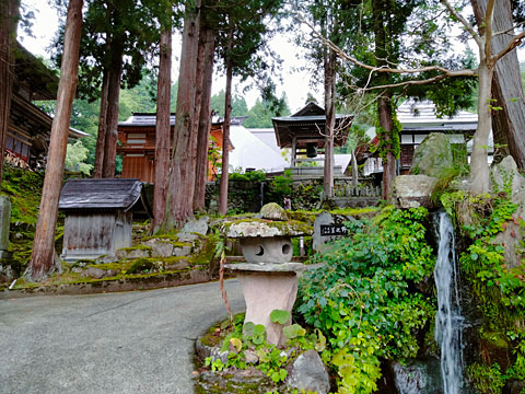 健命寺の境内を見上げる