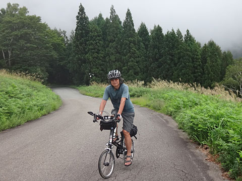 サイダーが上る