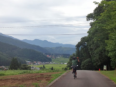 ひまわりは終わり