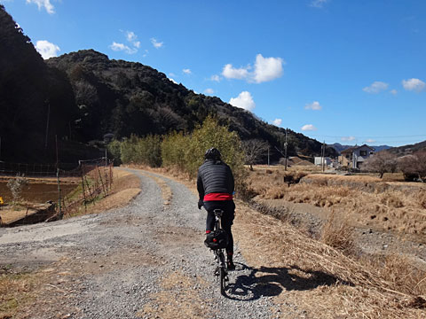稲生沢川の土手を走る