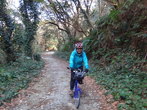 ダートの激坂下り