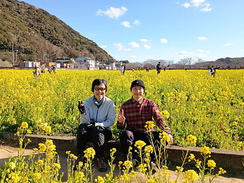 菜の花とサリーナ、シュンシュン