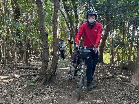 遊歩道を押すサイダーとサリーナ