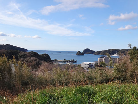 下田湾が見えた