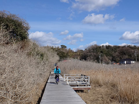 はまぼうロード