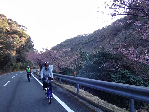 上りにアップアップ