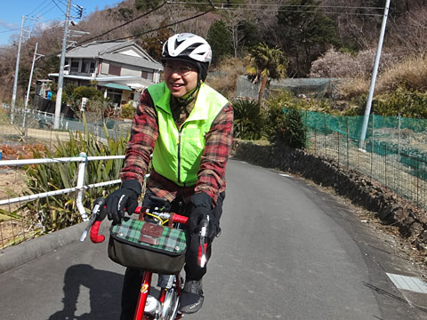 上るシュンシュン