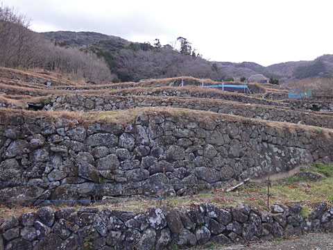 石積みの棚田