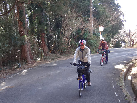 島見峠からの下り