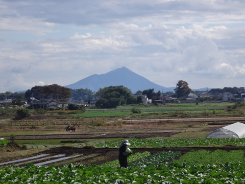 農民と筑波山