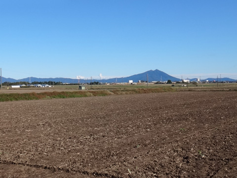 畑と筑波山