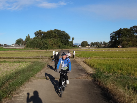 田んぼの中を行く面々