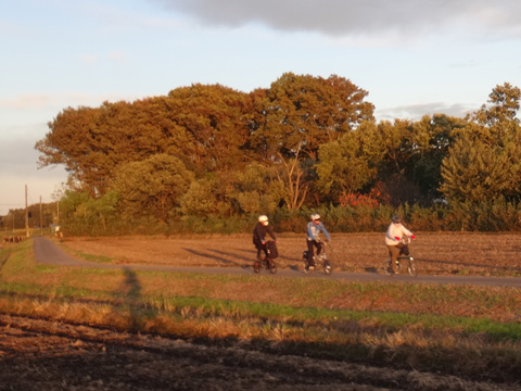 西日を受けて走る面々