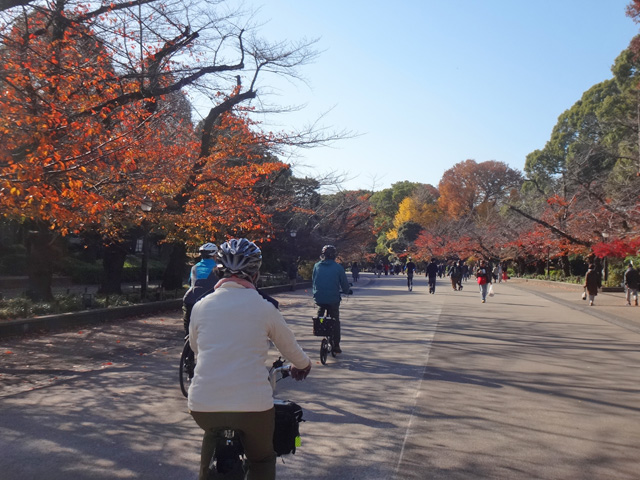 上野公園の紅葉
