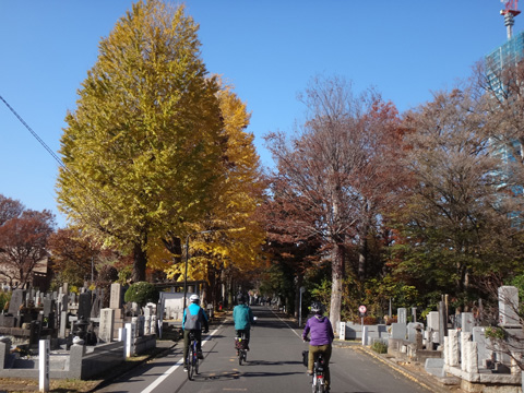 雑司ヶ谷霊園を行く